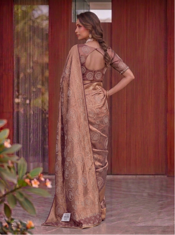 Dusty Taupe Brown Dola Silk Saree with Circular Pearl Embellished Motifs & Heavily Embroidered Border